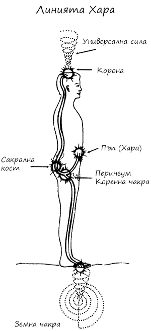 Линия Хара