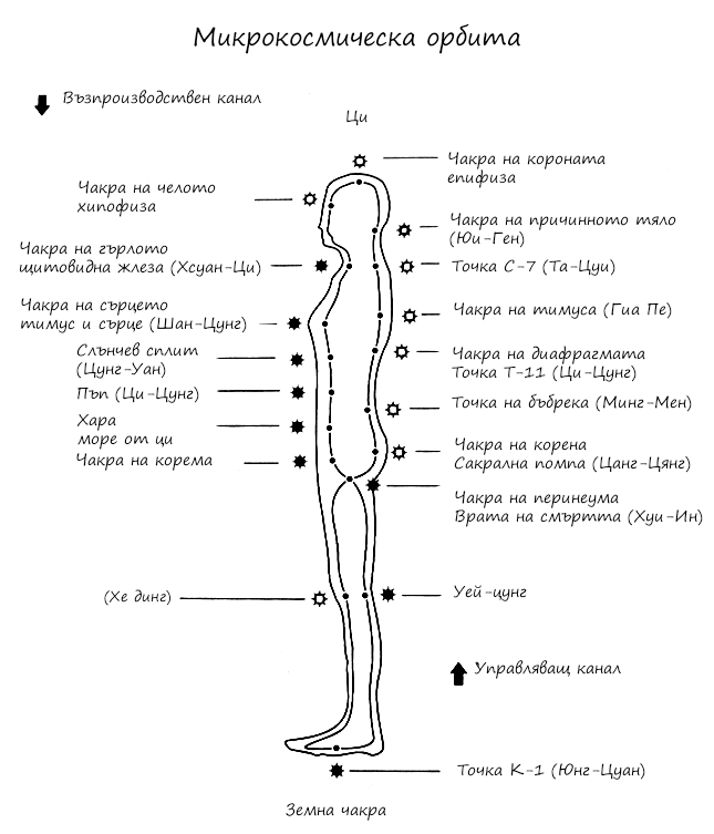 Микрокосмическа орбита