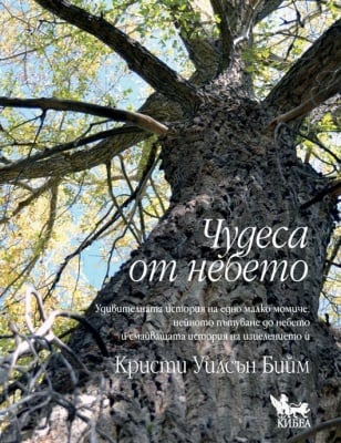ЧУДЕСА ОТ НЕБЕТО - Кристи Уилсън Бийм