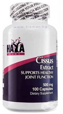 ХАЯ ЛАБС ЦИСУС капсули 500 мг. * 100