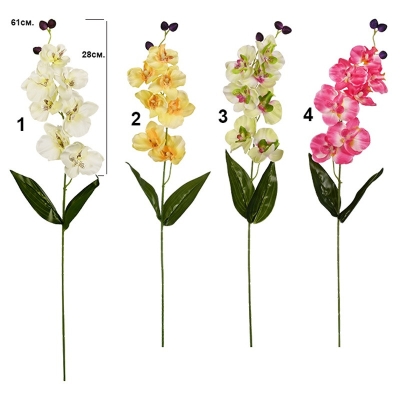 Цвете - Орхидея