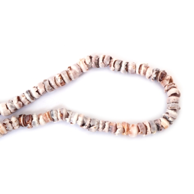 Наниз раковини 10~13x5~7x6~7 мм дупка 2 мм ~90 броя