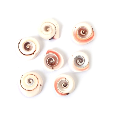 Морски раковини 22~30x7~10 мм дупка 1.5~ 2 мм -50 грама ~7 броя