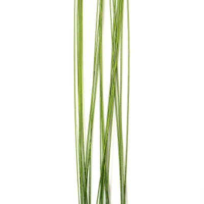 Цветарска тел цвят светло зелен 0.9 мм ~82 см -20 броя