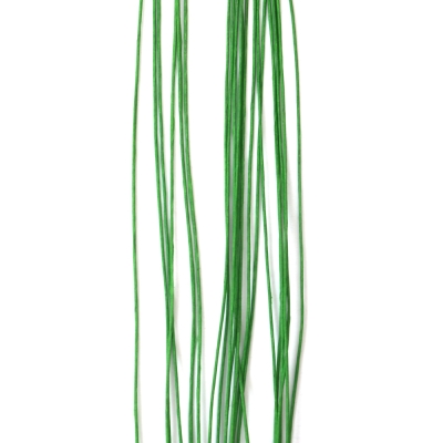 Цветарска тел с хартиено покритие цвят светло зелен 0.9 мм  ~80 см -20 броя