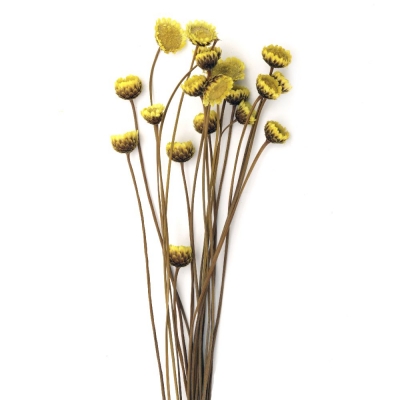 Букет сухи цветя за декорация цвят жълто ~21 броя