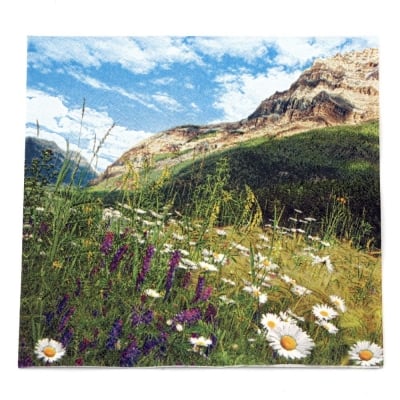 Салфетка HOME FASHION 33x33 см трипластова Mountain Scenery -1 брой