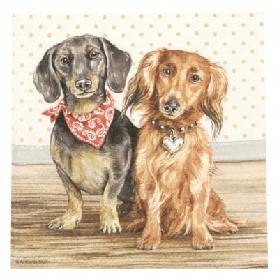 Салфетка за декупаж Ambiente 33x33 см трипластова Dachshund-1 брой