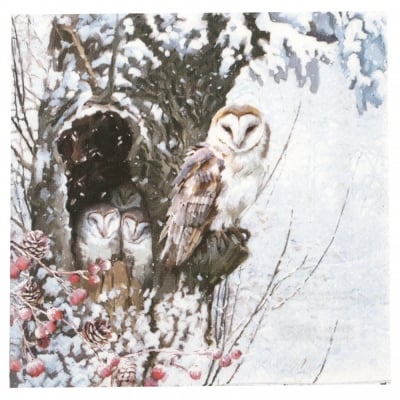 Салфетка за декупаж Ambiente 33x33 см трипластова Barn Owl -1 брой