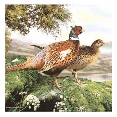 Салфетка за декупаж Ambiente 33x33 см трипластова Pheasant -1 брой