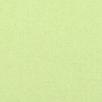 Хартия цветна 120 гр/м2 двустранна 50х78 см зелена бледо -1 брой