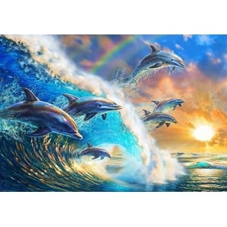 Комплект рисуване по номера 40x50 см - Игриви делфини BFB0240