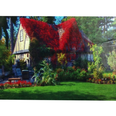 Диамантен гоблен 20x30 см кръгли диаманти пълно облепяне с рамка - Горска стара къща JS21275