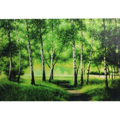 Комплект рисуване по номера 20x30 см -Зелената гора RAS2285