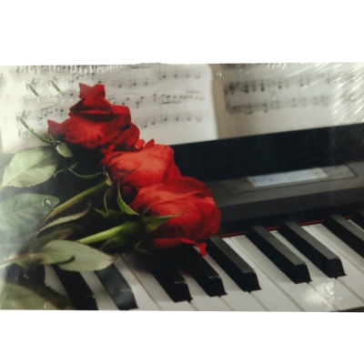 Диамантен гоблен 20x30 см кръгли диаманти пълно облепяне с рамка - Музикално извинение GLB30423