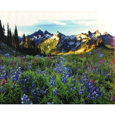 Диамантен гоблен 21x25 см кръгли диаманти частично облепяне -Планинска омая YSA3738