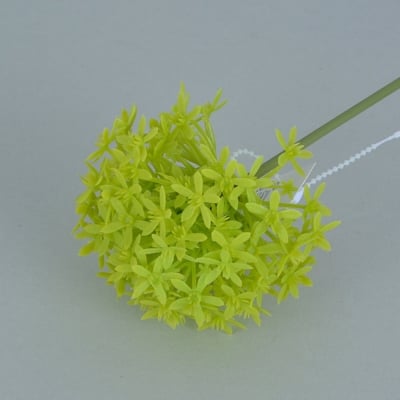 Allium Globemaster, ф 7 x 53 cm, светлозелен