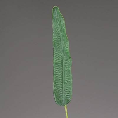 Декоративен лист, Strelizienblatt, 68 cm, зелен