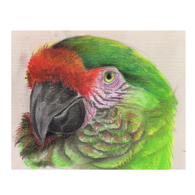 Пастел CretaColor, PASTEL CARRE, 1бр., Madder Carmine