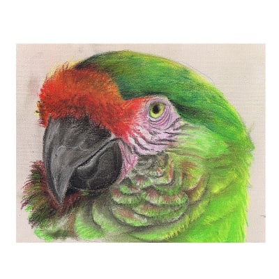 Пастел CretaColor, PASTEL CARRE, 1бр., Indian Red