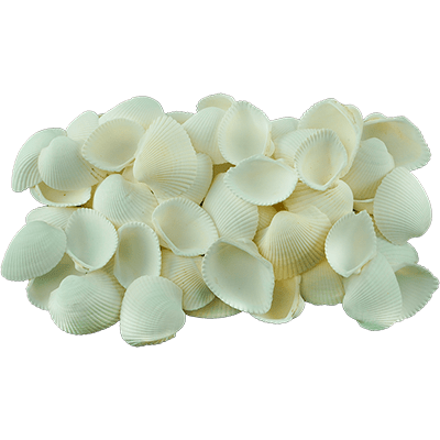 Морски миди, 20 - 60 mm, 140 g, бели