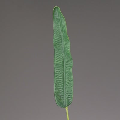 Декоративен лист, Strelizienblatt, 68 cm, зелен