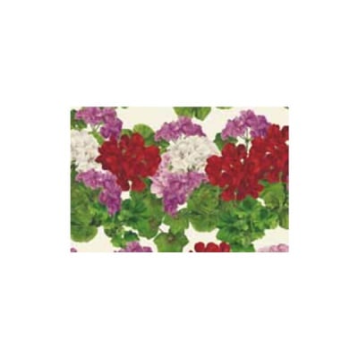 Декупажна хартия с мотиви, 40 g/m2, 50 x 70 cm, 1л, Мушкато