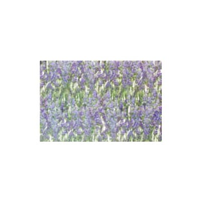 Декупажна хартия с мотиви, 85 g/m2, 50 x 70 cm, 1л, Лавандули