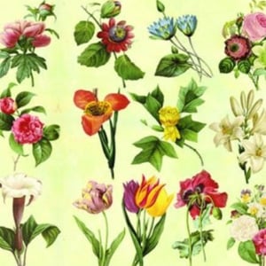 Декупажна хартия