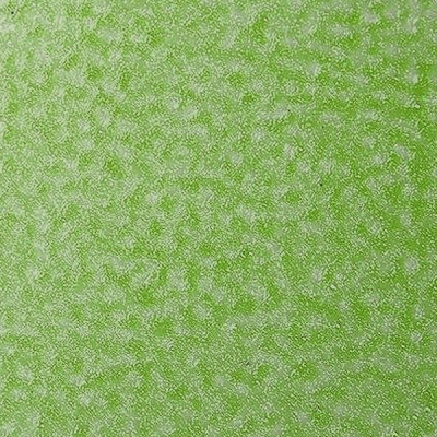 Cristallicpaint, 50 ml, светло зелена