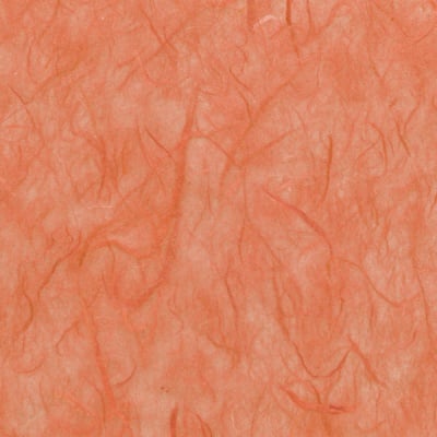 Хартия копринена с влакна, 25 g/m2, 50 x 70 cm, 1л, кокосова