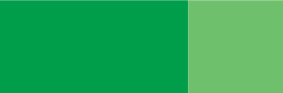 Маслена боя ARTISTS' OIL, 180 ml, Permanent Green Pale