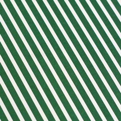 Варио картон, 300 g/m2, 50 x 70 cm, 1л, бял в зелено рае
