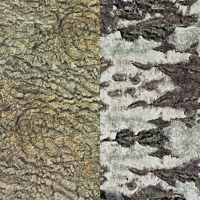 Варио картон, 300 g/m2, 50 x 70 cm, 1л, кори на дървета