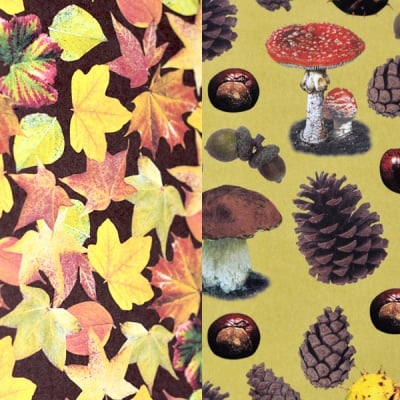 Варио картон, 300 g/m2, 50 x 70 cm, 1л, листа и иглички/листопад