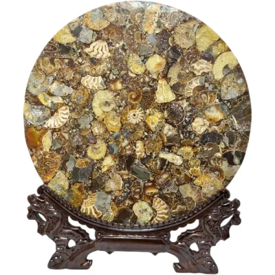 Диск Поднос от Полирани Мадагаскарски Амонити Cleoniceras Cleon 