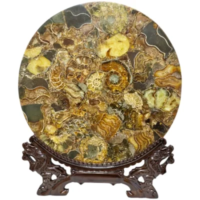 Диск Поднос от Полирани Мадагаскарски Амонити Cleoniceras Cleon