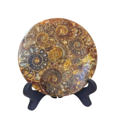 Диск Поднос от Полирани Мадагаскарски Амонити Cleoniceras Cleon