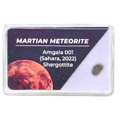 Оливин-Фирик Марсиански Шерготит Метеорит "Amgala 001" в Дисплей със Сертификат 