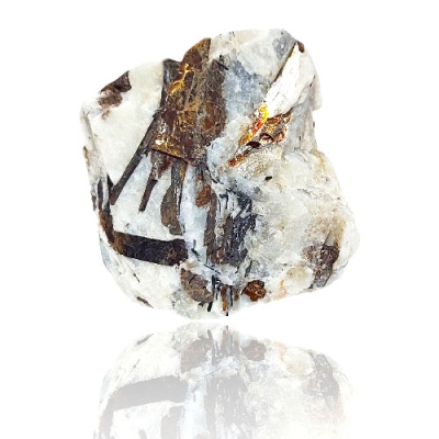 Астрофилит