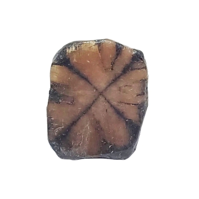 Хиастолит - Кръстов Камък