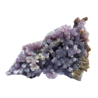 Гроздов ( Гроздовиден ) Ахат