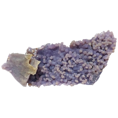 Гроздов ( Гроздовиден ) Ахат