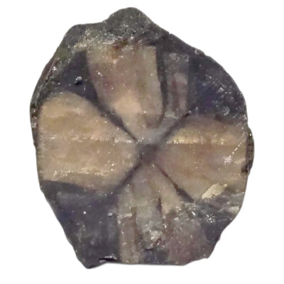 Хиастолит - Кръстов Камък