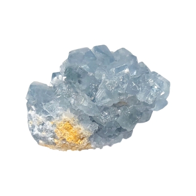 Целестин Друза