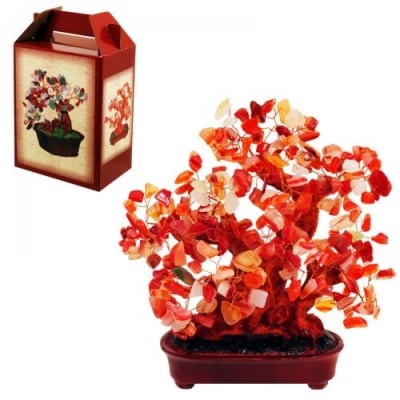 Амулети, Талисмани, Фън Шуй