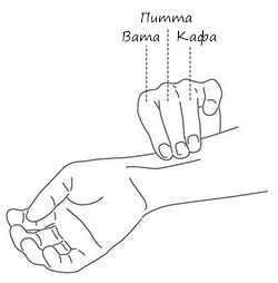 Изледване на пулса