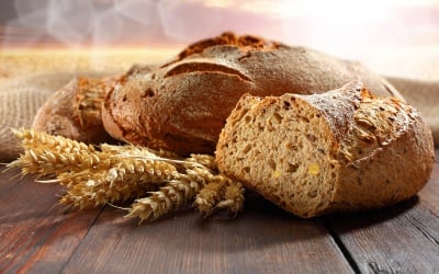 Магията на хляба - обединениe на четирите основни неща на света  - вода, земя, зърно и слънце