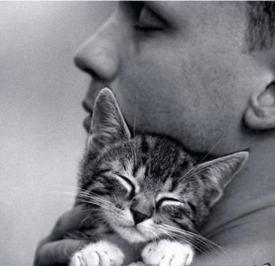 Котета за продажба - една история за отговорността, подкрепата и любовта