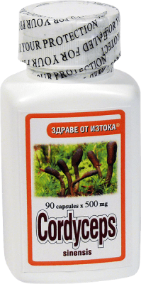 КОРДИЦЕПС - подсилва имунитета и енергийните нива - капсули 500 мг х 90, TNT 21